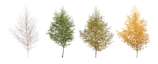 How the Changing Seasons Affect Your Skin