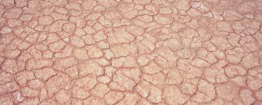 Dehydrated skin vs Dry Skin: The Big Differences
