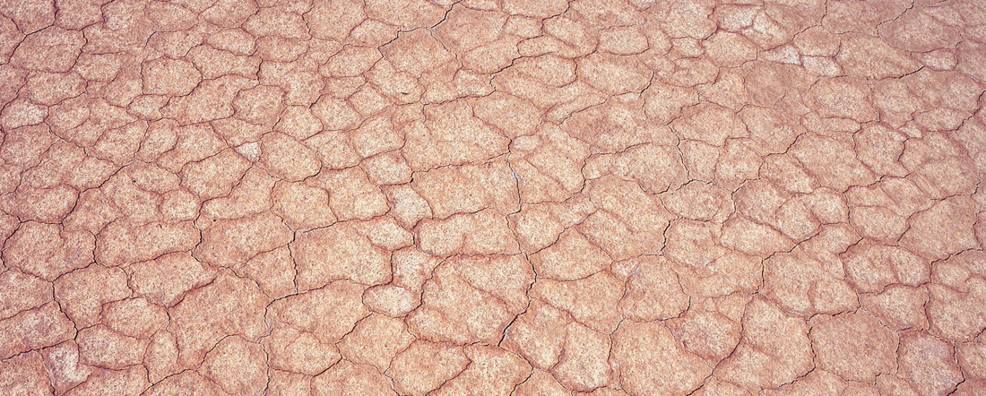 Dehydrated skin vs Dry Skin: The Big Differences