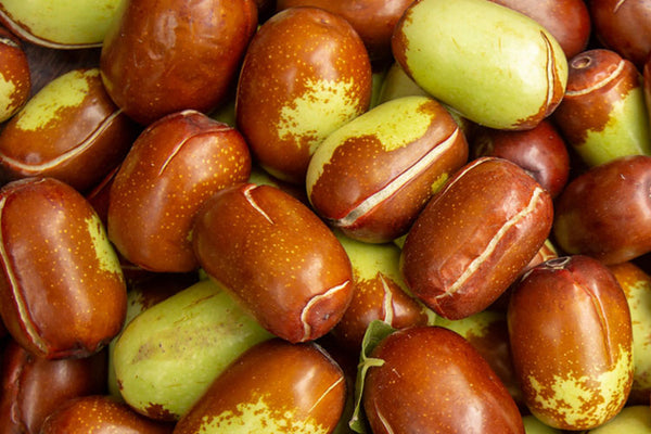 Simmondsia chinensis seed oil | Jojoba Oil